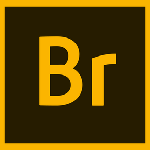 Adobe Bridge v2020簡體中文破解版