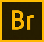 Adobe Bridge 2020中文特別版v10.1.0.163免注冊版