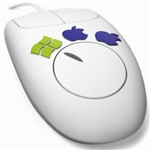 ShareMouse 5中文版 v5.0.36