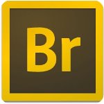 Adobe Bridge CC 2020中文 v10.0