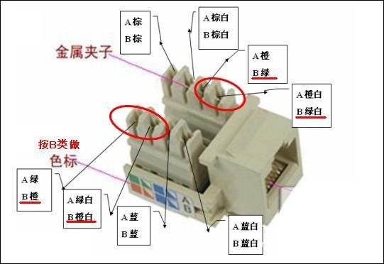 網(wǎng)線(xiàn)插座