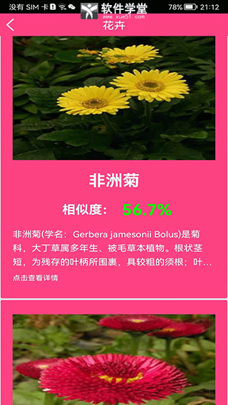 拍照識花神器