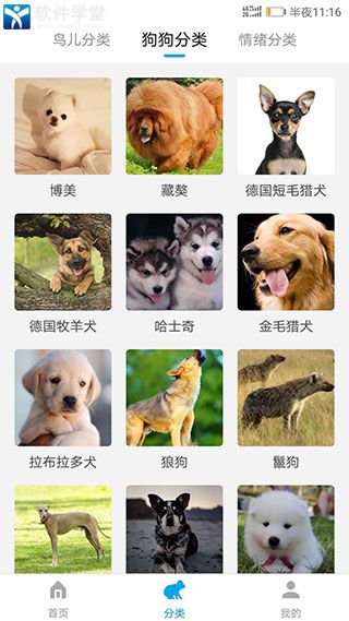 動物翻譯器