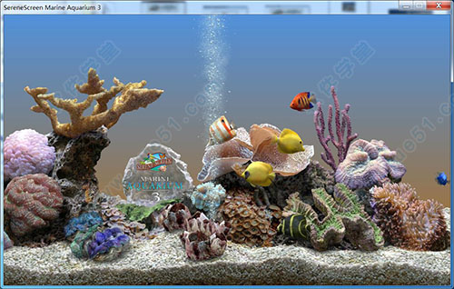 Marine Aquarium 3(3D水族館動(dòng)態(tài)屏保)