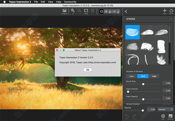 topaz impression mac 破解