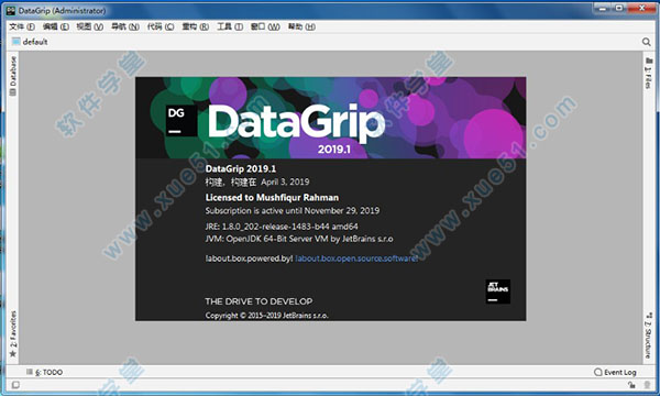 JetBrains DataGrip 2019.1中文破解版