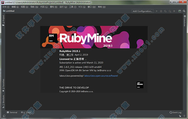 RubyMine 2019