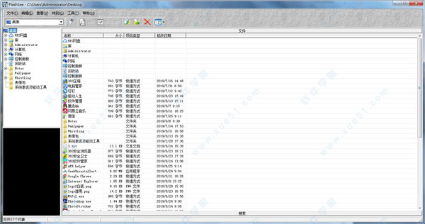 Flashsee(Flash播放器) v2.0綠色免費(fèi)版