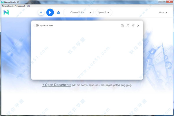 NaturalReader Professional v16.1.1破解版